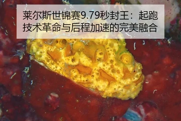 莱尔斯世锦赛9.79秒封王：起跑技术革命与后程加速的完美融合